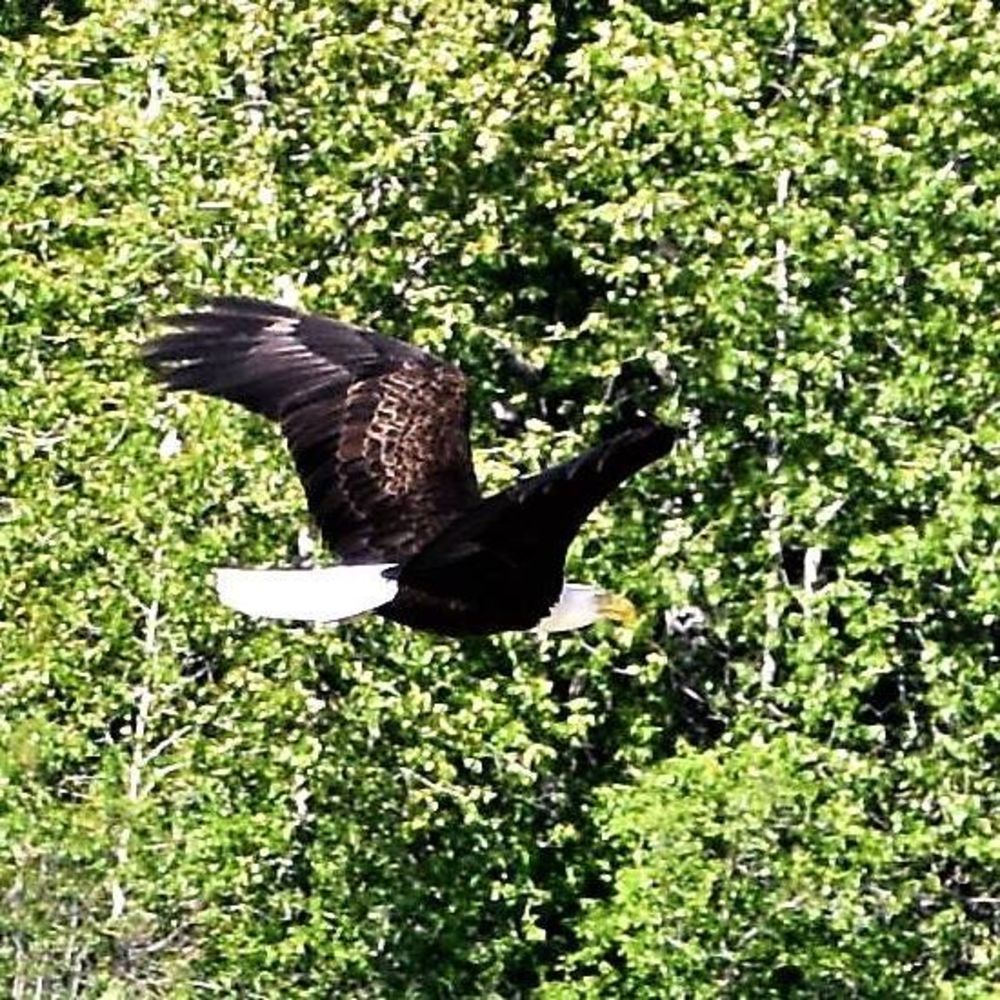 Meet your Posher, Rhonda